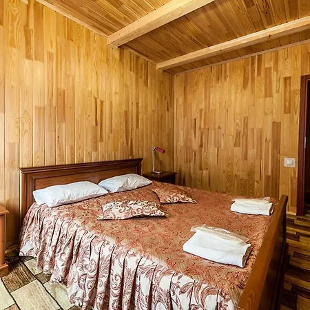 Hotel Olga Tatariv