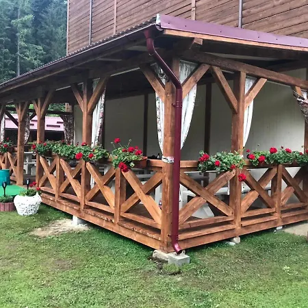Hotel Olga Tatariv