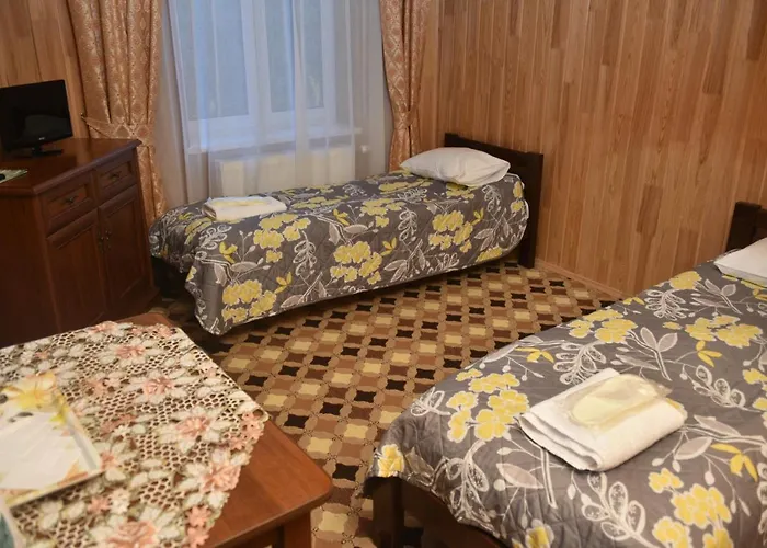Olga Otel Tatariv