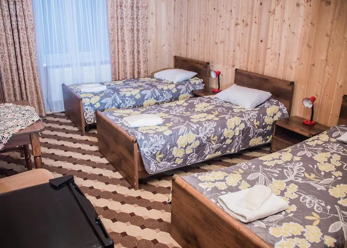 Olga Spa Szálloda Tatariv